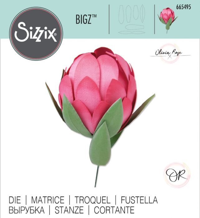 Sizzix 665495 Protea Bigz die........