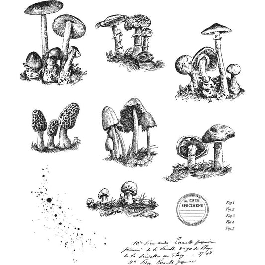 Tim Holtz / Stampers Anonymous CMS377 Tiny Toadstools - out of stock*