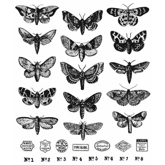 Tim Holtz / Stampers Anonymous - CMS436 Moth Study*