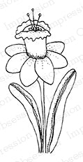 *Impression Obsession - D19414 Daffodil Stalk (cling)*