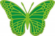 DL116 Exotic Butterfly Medium #3…….