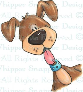 Whipper Snapper - Dog Selfie