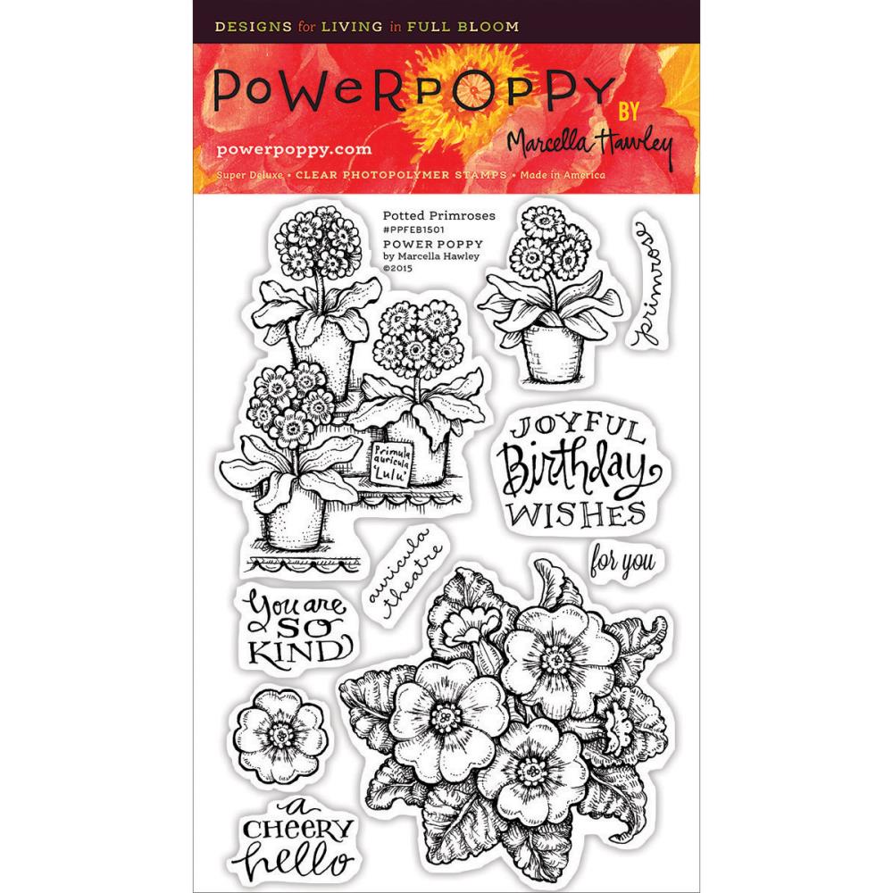 Power Poppy PFEB1501 Potted Primroses