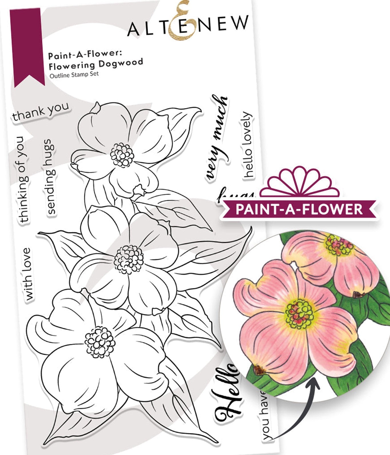 Altenew - Paint A Flower: Flowering Dogwood Outline stamp…….