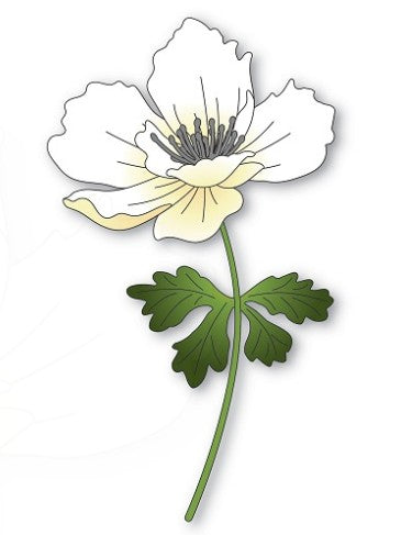 Memory Box die - 94764 Graceful Anemone