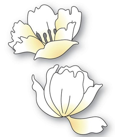 Memory Box die - 94768 Anemone Blooms ***