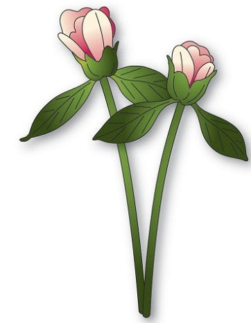 Memory Box die - 94874 Peony Bud Duo