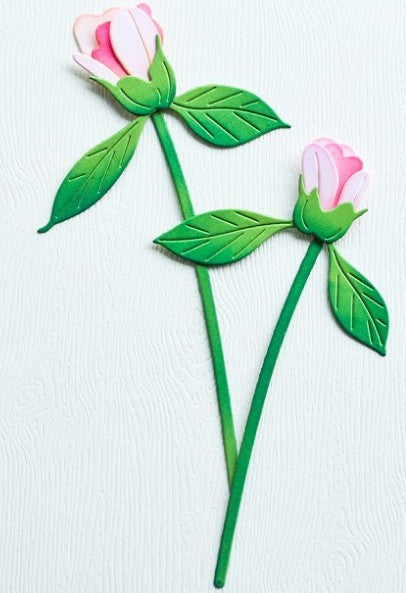 Memory Box die - 94874 Peony Bud Duo