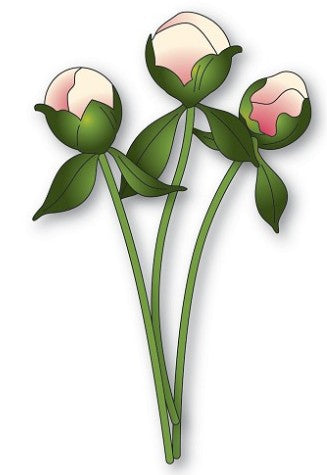 Memory Box die - 94876 Peony Bud Stems