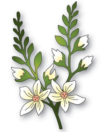 Memory Box die - 94879 Crocosmia Stems- sold out