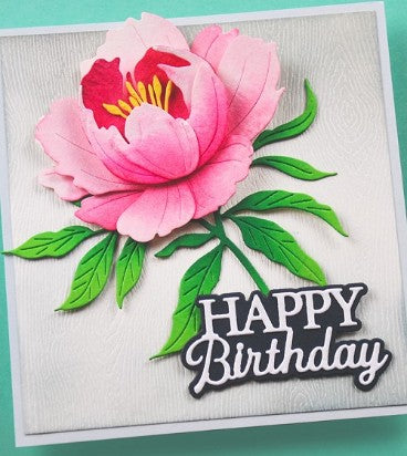 AIR Exclusive - Memory Box Die - A114 Everyday Sentiments Happy Birthday