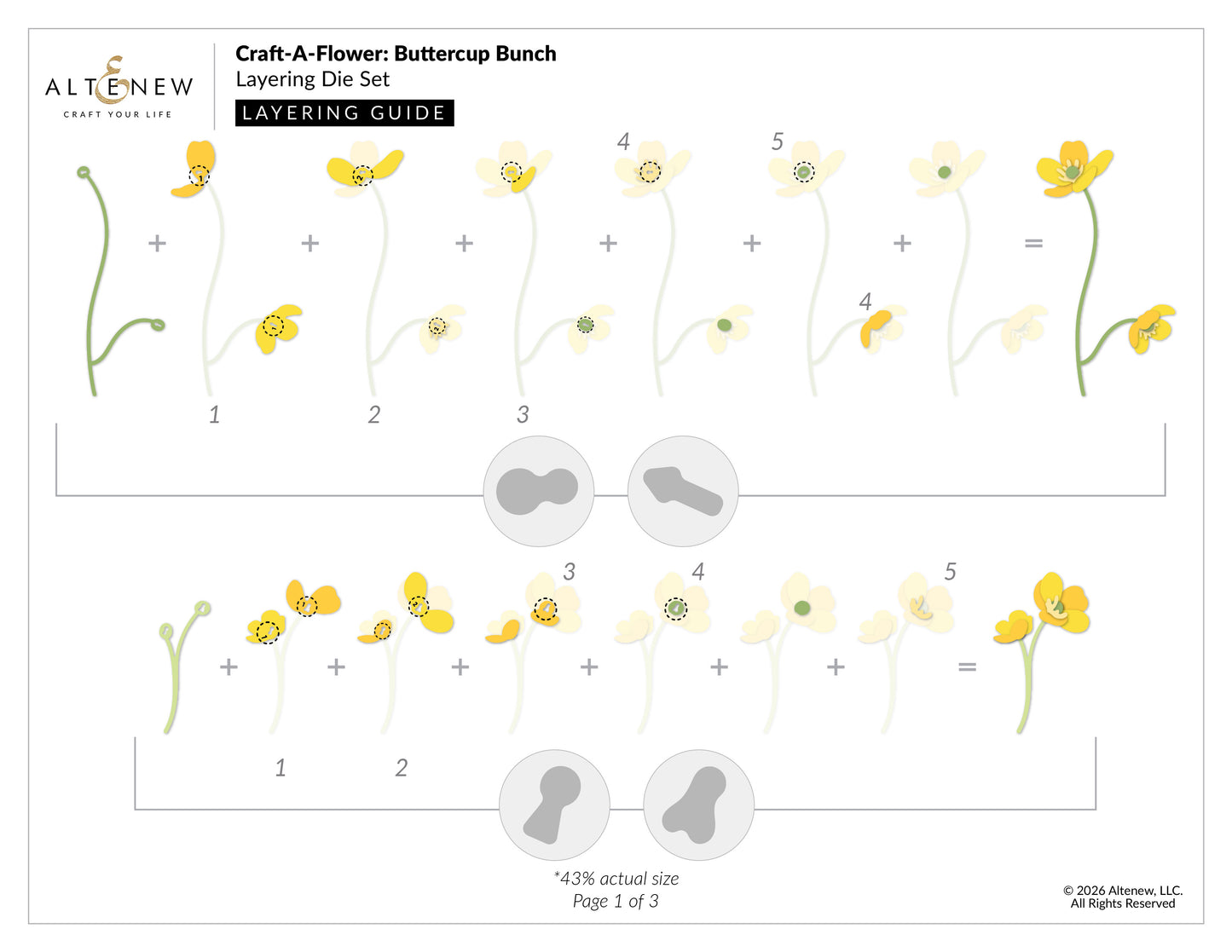 Altenew - Craft A Flower - Buttercup Branch