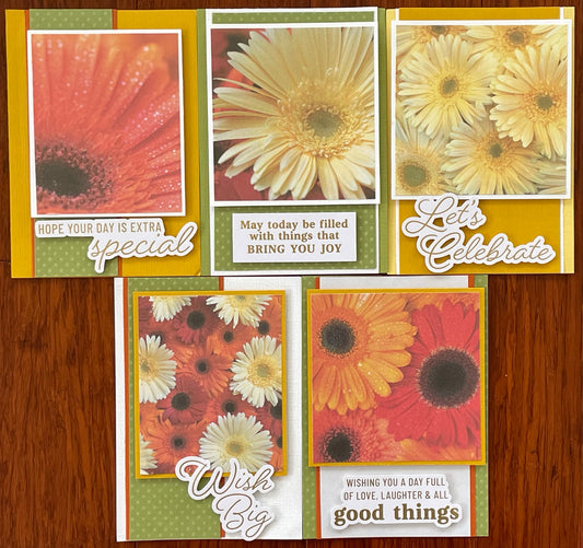 MC&S Card Kit - Rachel Greig - Gerberas card kit