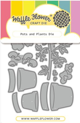 Waffle Flower - Pot and Plants die - 422488