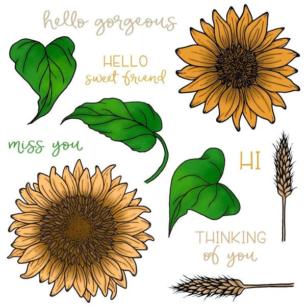 Honey Bee Stamps - Sweet Sunflowers (stamp and die set)