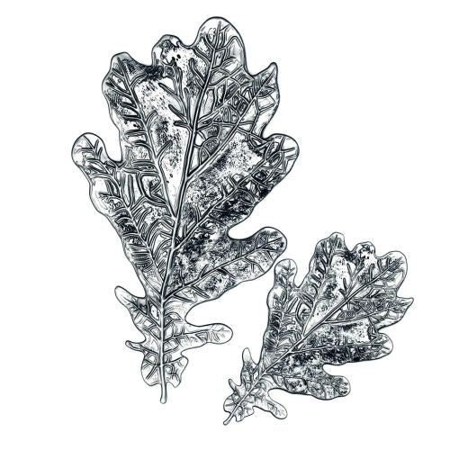 Tim Holtz / Sizzix - 665374 Oak Leaf 3D Impressits Embossing Folder.......