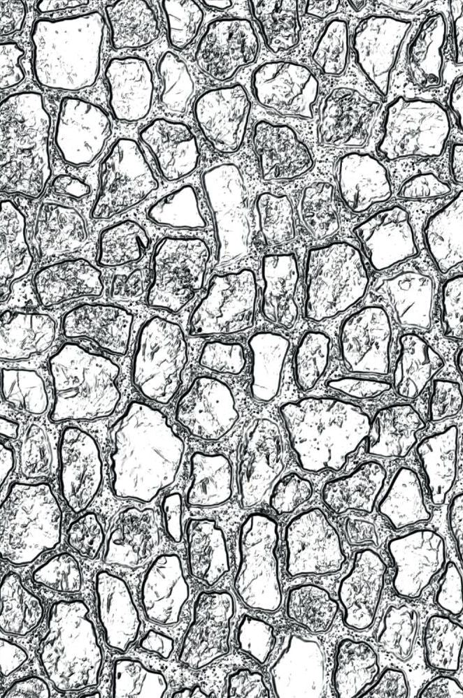 Tim Holtz / Sizzix - 665461 3D Texture Embossing Folder - Mini Cobblestone*