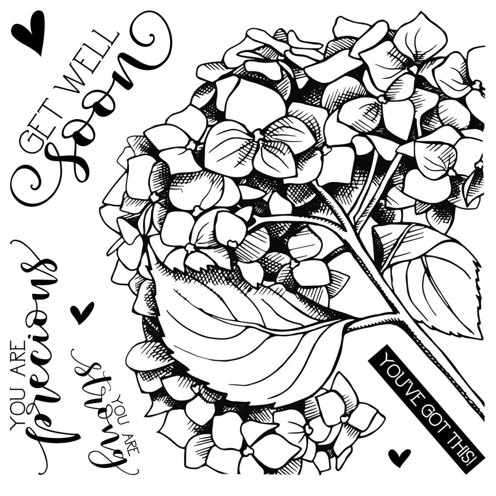 Colorado Craft Company - C3BB242 Get Well Hydrangea*