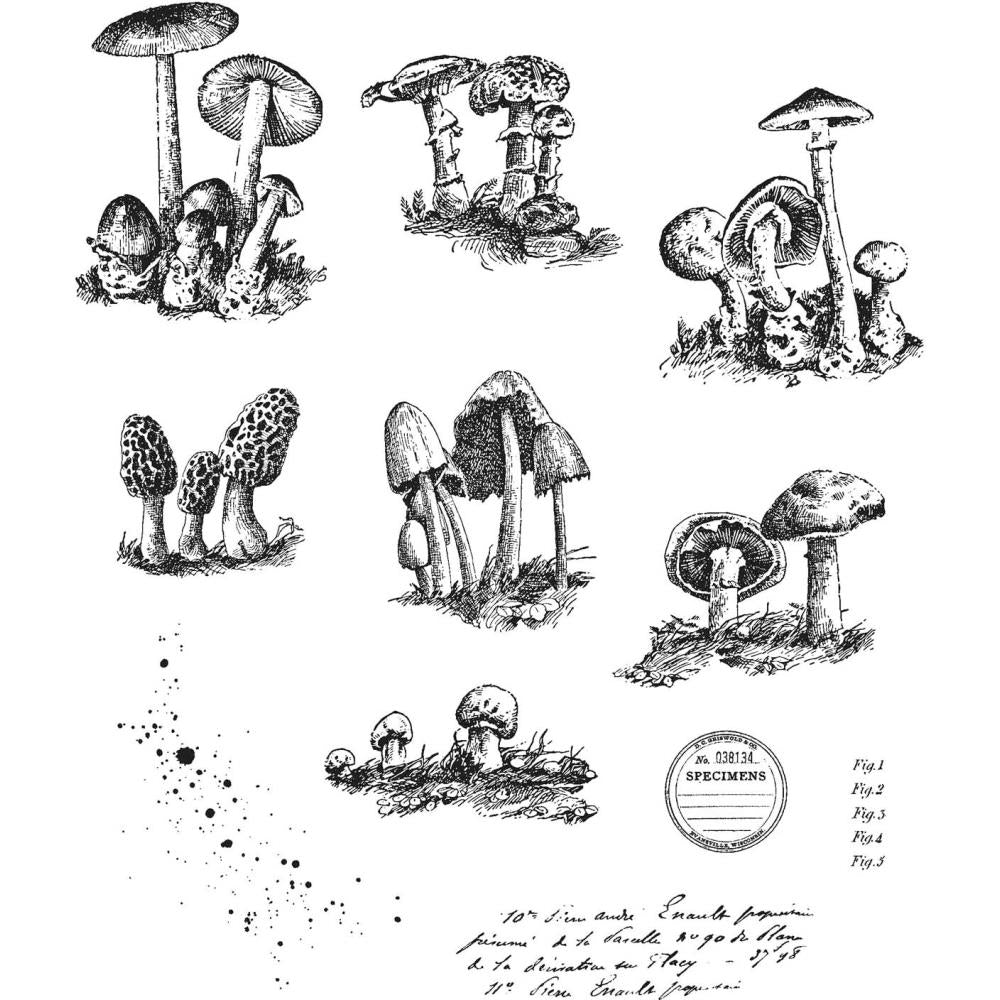 Tim Holtz / Stampers Anonymous CMS377 Tiny Toadstools - 1 only¡m