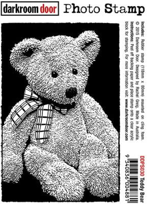 Darkroom Door - DDPS030 Teddy Bear*