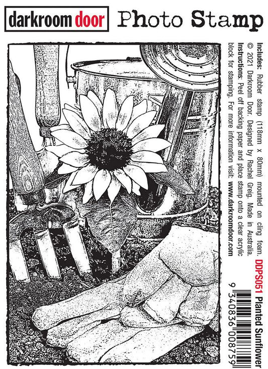 Darkroom Door - DDPS051 - Photo Stamp - Planted Sunflower*