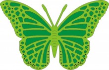 DL116 Exotic Butterfly Medium #3*