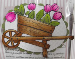 Mini Magnolia - Tulip Wheelbarrow